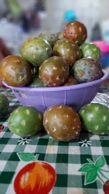 mucha pitaya