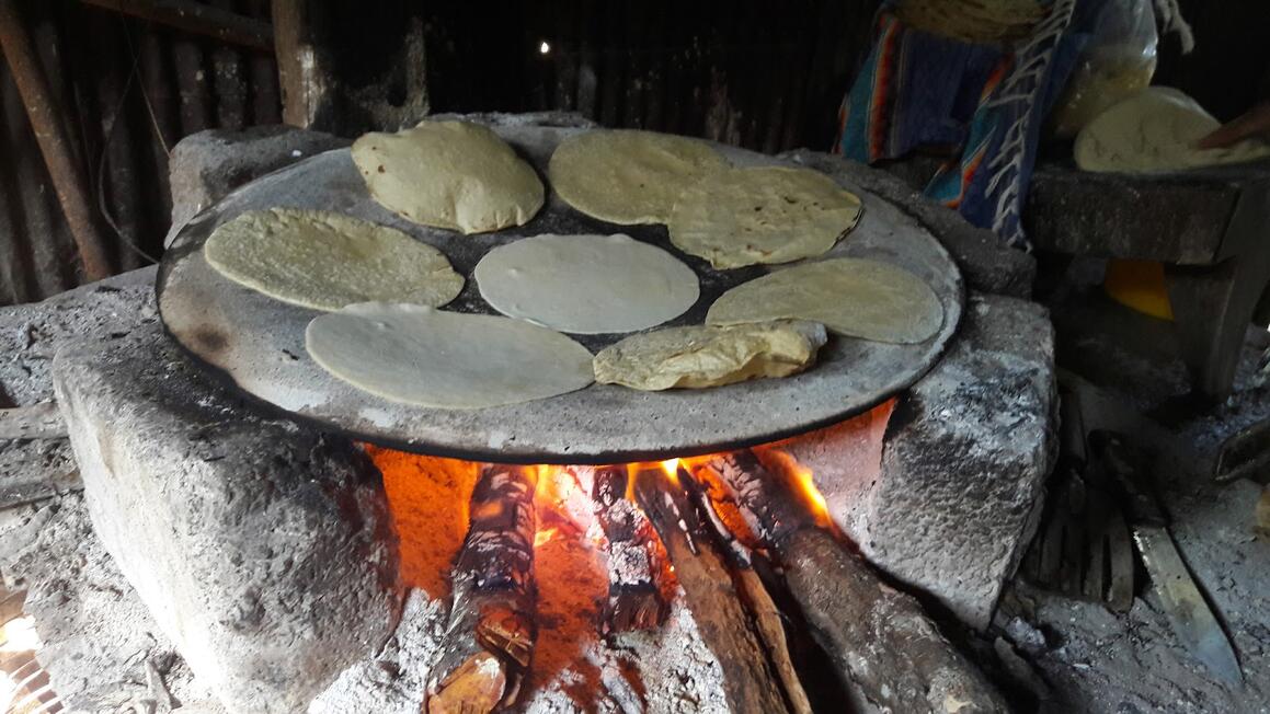 tortilla